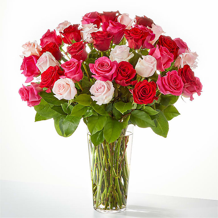 Pink, hot pink and red roses