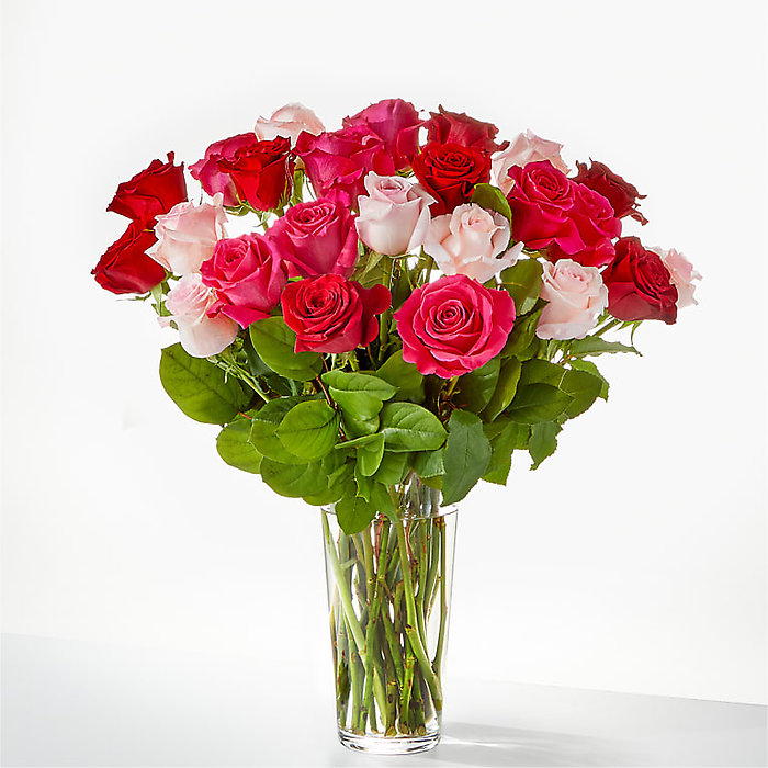Pink, hot pink and red roses