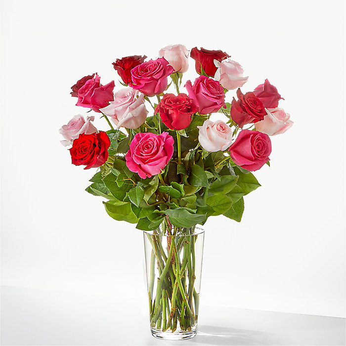 Pink, hot pink and red roses
