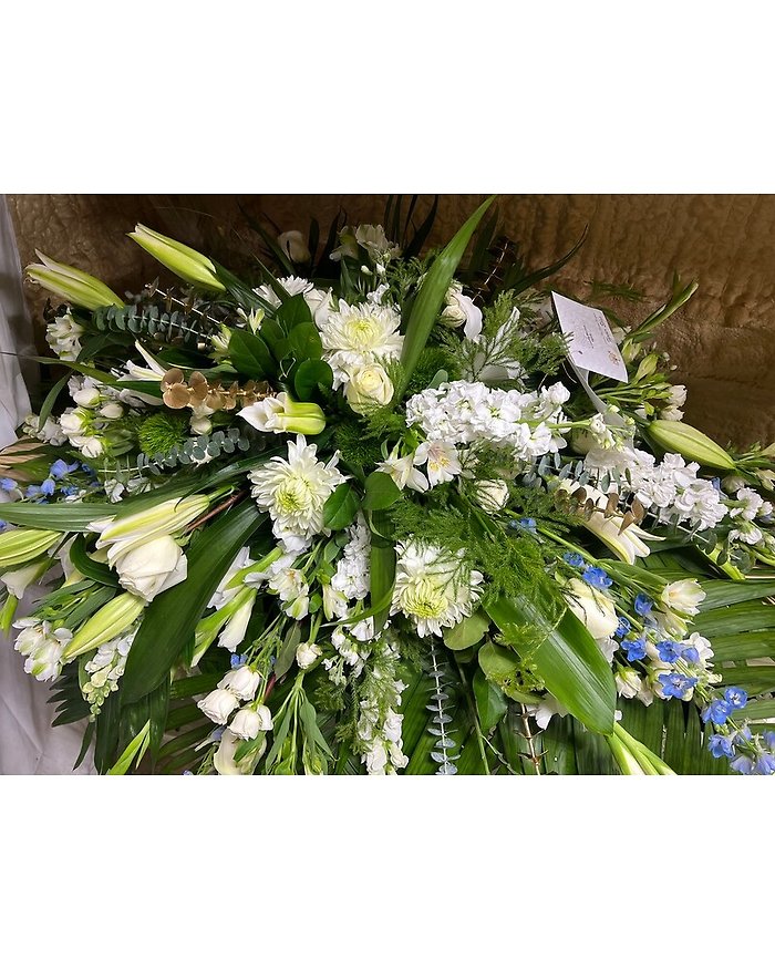 white with touch of blue