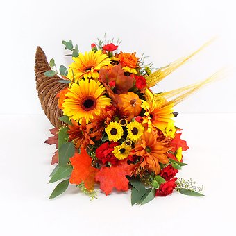 Nature\'s Bounty