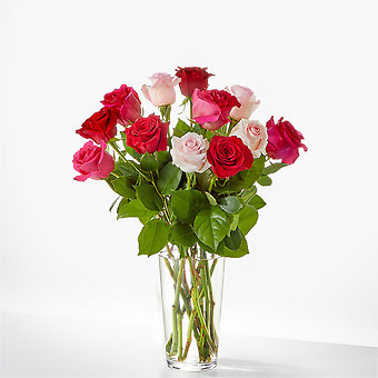 Pink, hot pink and red roses