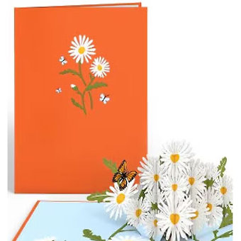 PopLove Card Dasies & Butterflies