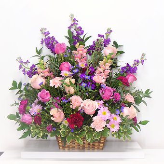 Shades of Elegance