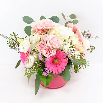 Tickled Pink!